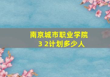 南京城市职业学院3 2计划多少人